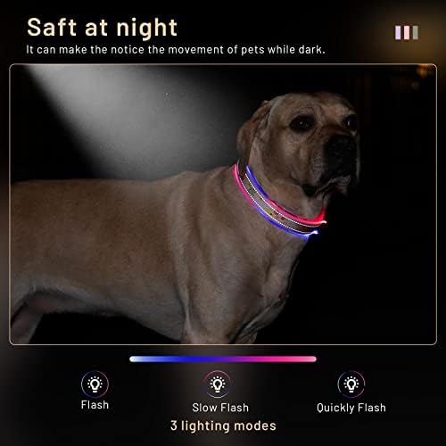 Нашийник за кучета с перезаряжаемым фенерче: Led отразяваща нашийник с USB за сигурност на домашни любимци Лека разходка за малки, средни, Големи кучета XL Large (Розово, S)