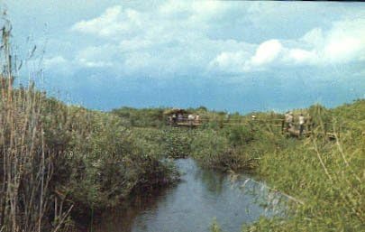 Национален парк Евърглейдс, Флорида Картичка