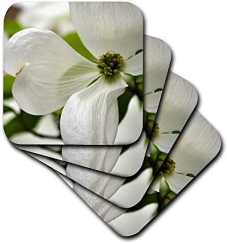 3dRose cst_51848_2 Purity-Цвете Бял Дрян-Пролетни Цъфтящи дървета-Меки подложки, комплект от 8